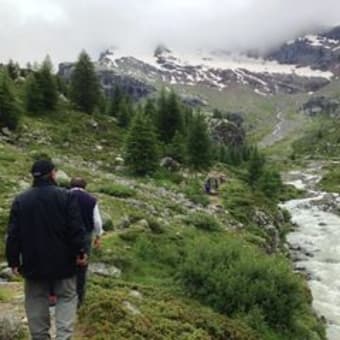 イタリア-スイス国境山中のお花畑をトレッキング