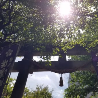 西暦2024年5月15日の東京・牛天神こと北野神社