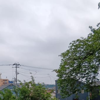 アルツGさん的雑想ノート