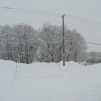 元旦