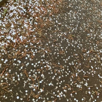 みんなで見上げる空＼(^^)／