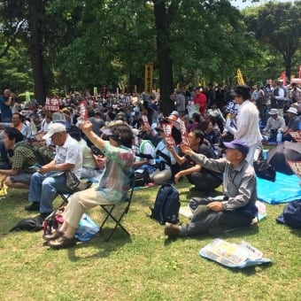 埼玉1万人総行動&江戸川行動