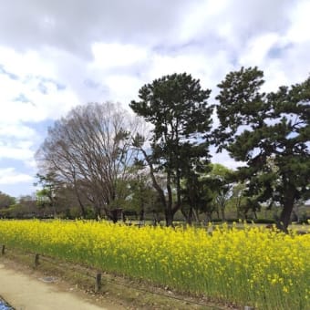春を感じて🌷🍃🌹