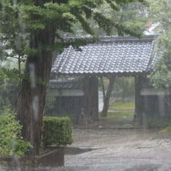 こんな眼に遭うなんて（第二夜）