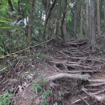 真夏の金剛山湧出岳　第21番経塚へお参りしました　2018年8月3日　その1