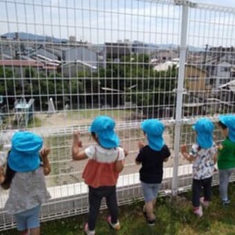 ひよこ組③