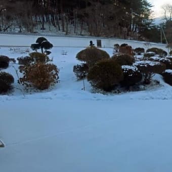 ぺっこばり(ちょっとだけ)「ひょっこりひょうたん島」