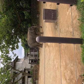 沖縄子どもの国の動物園・2020年02月24日（月）