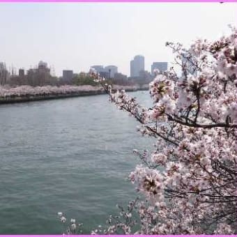 「桜ノ宮」から満開の大川河畔を歩く（1）
