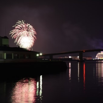 クァンタム・オブ・ザ・シーズ！広島初入港！！