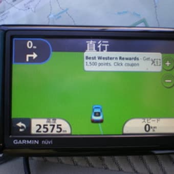 カリフォルニアからハ～イ！（５）　MVPくん登山新記録２５７５メートル達成