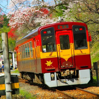 花桃と桜の神戸駅。。。