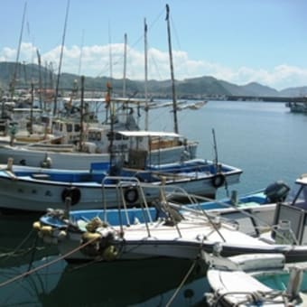 西浦漁港