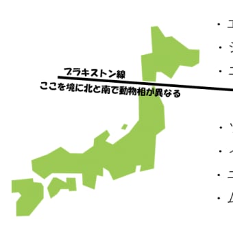あれってそれって何と云ったっけ？　～動植物の生存ライン