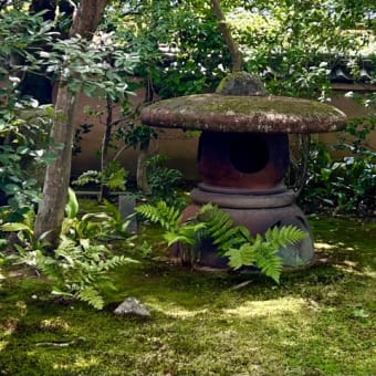 妙心寺塔頭・雑華院＊