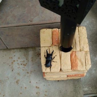 今日から9月