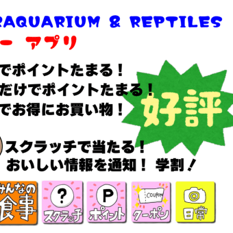 アプリでクーポン! ポイント! お得にお買い物!