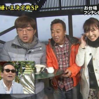 隅田川の花火大会でニアミスだったでつなぁ～　関西弁好きなのかなぁ～