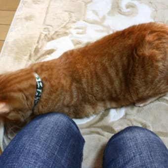 春なのに