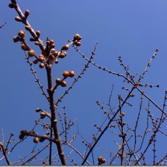 春の陽気