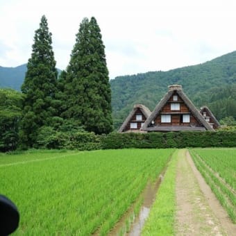 ちょこっとドライブ(^^♪④