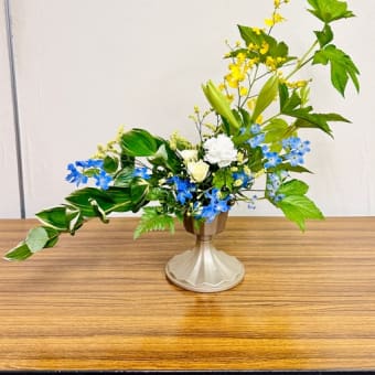 2023年　　今週のレッスン　6/20～6/26  涼風、サマースゥィール、ミルキーウェイ
