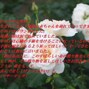 混乱（バラル）