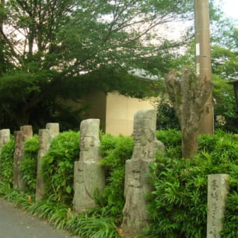 京都　嵯峨野　竹林の道　