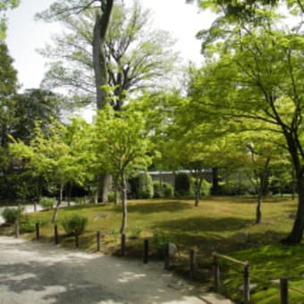 ツツジ（城南宮＆長岡天満宮）06年5月1日