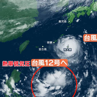 ３１日　台風11号 記録的暴風のおそれ　猛烈な勢力で大東島に接近へ