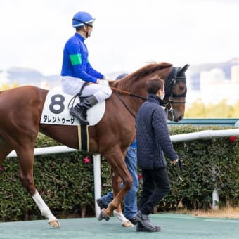 タレントゥーサ　馬体重戻った❗️