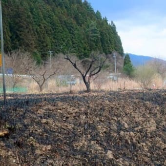 春が進む
