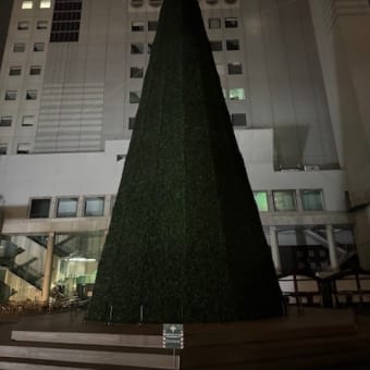 夜中の空中庭園に行ってました　k-hashii-japan　2024年12月13日
