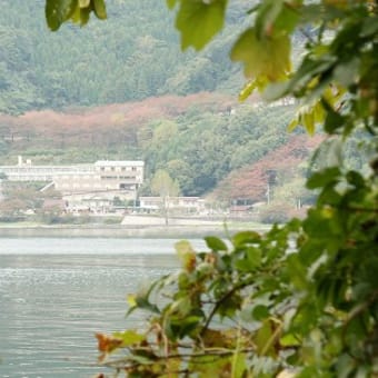 「秋の気配　ぐるっと琵琶湖一周ウオーク⑩」　2010年11月2日(土)　晴