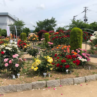 今日いち-2025年5月23日