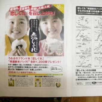 「折込チラシ」