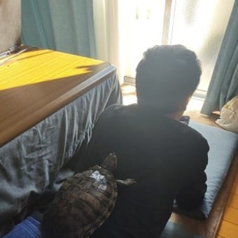 一難さってまた.....