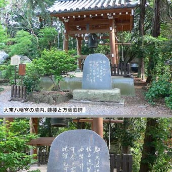 万葉アルバム（関東）：茨城県、下妻市　大宝八幡宮／さ百合の花