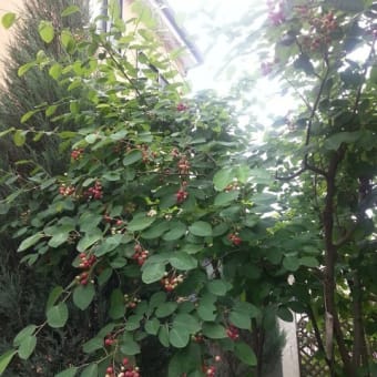 あっという間に