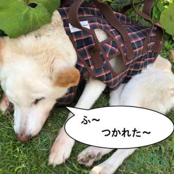 いろんな事がありました。