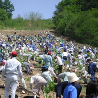 秋田県植樹祭