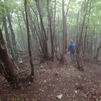 急遽変更！雨の観音峰 ３