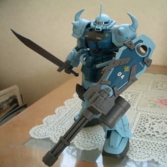 MS-07B-3　 グフカスタム　（ＭＧ　1/100）