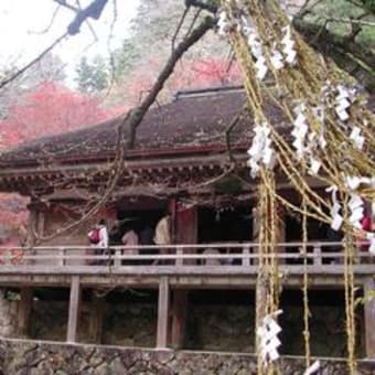 人生は苦なり 住職のひとりごと