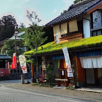 7月最後の外ご飯🥄お気に入りのおやつ