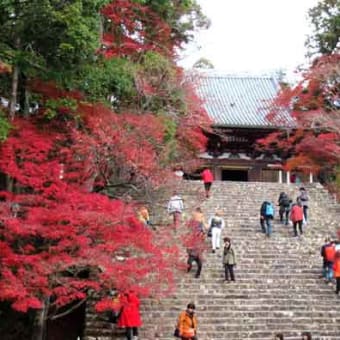 京都　高雄の紅葉　2018