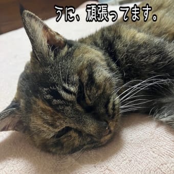 オムツ写しちゃ嫌よ！