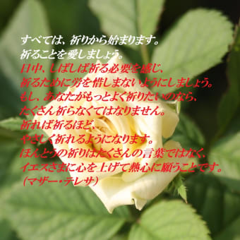 行くべき道を