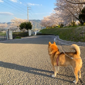 持たない暮らしが揺らぐ
