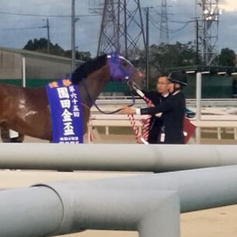 園田金盃、行ってきました2022